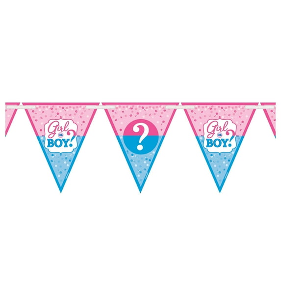 Amscan Boy or Girl Gender Reveal Baby Shower Banner, Multicolor