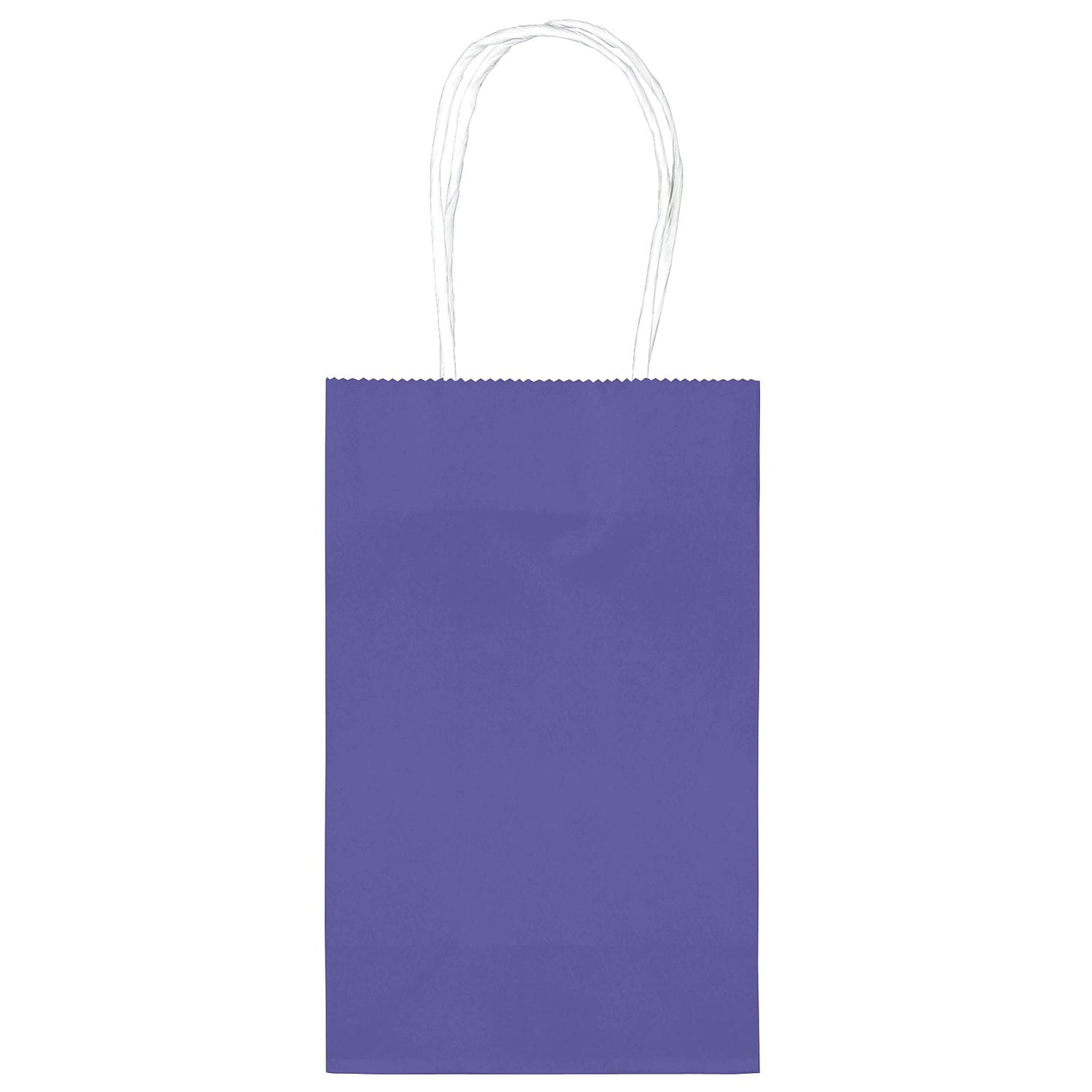 Amscan Treat Bag Value Pack Purple 10pc