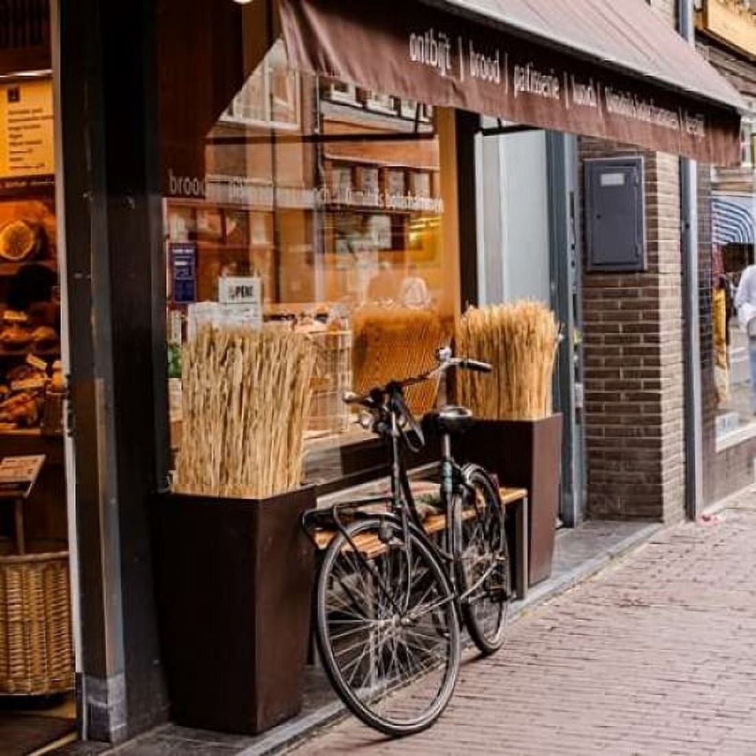 Amsterdam Bakery Canvas Art - Erin Berzel (24 x 24)