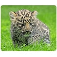 thumbnail image 1 of Amur Leopard Cub Cute Mouse pads Gaming Mouse Pad 9.84x7.87 inches, 1 of 3