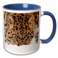 thumbnail image 1 of 3drose, Amur Leopard in Winter., 11oz Two-tone Blue Mug, 1 of 6