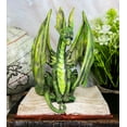 thumbnail image 1 of Amy Brown Fantasy Green Rune Book Dragon Of Bibliography Figurine Decor Statue, 1 of 5