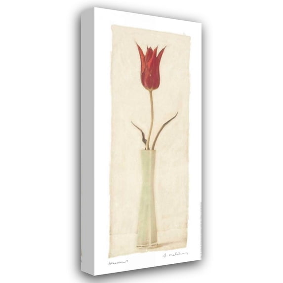 Amy Melious 12x24 Gallery Wrapped Canvas Wall Art Titled - Blossom I