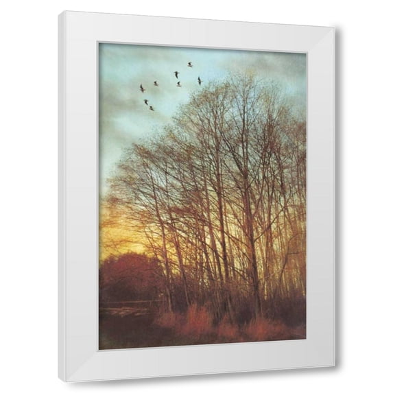 Amy Melious 13x18 White Modern Wood Framed Wall Art Titled - Winter Light II