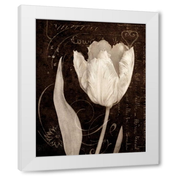 Amy Melious 20x24 White Modern Wood Framed Wall Art Titled - Garden Architecture II