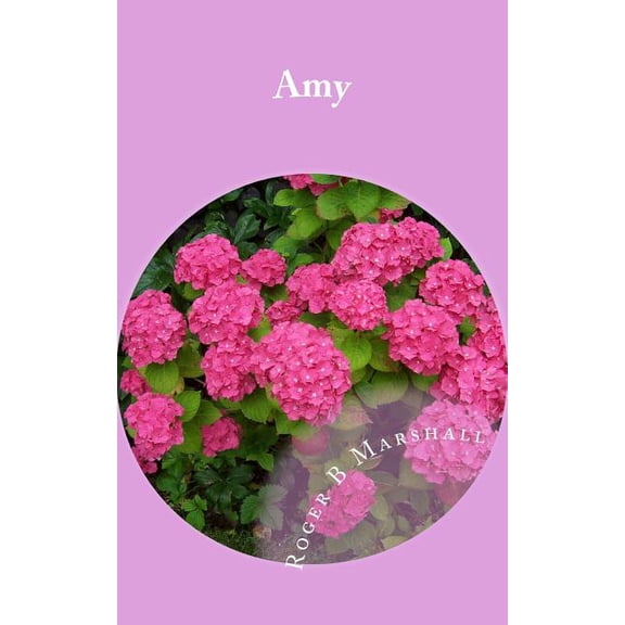 Amy (Paperback)