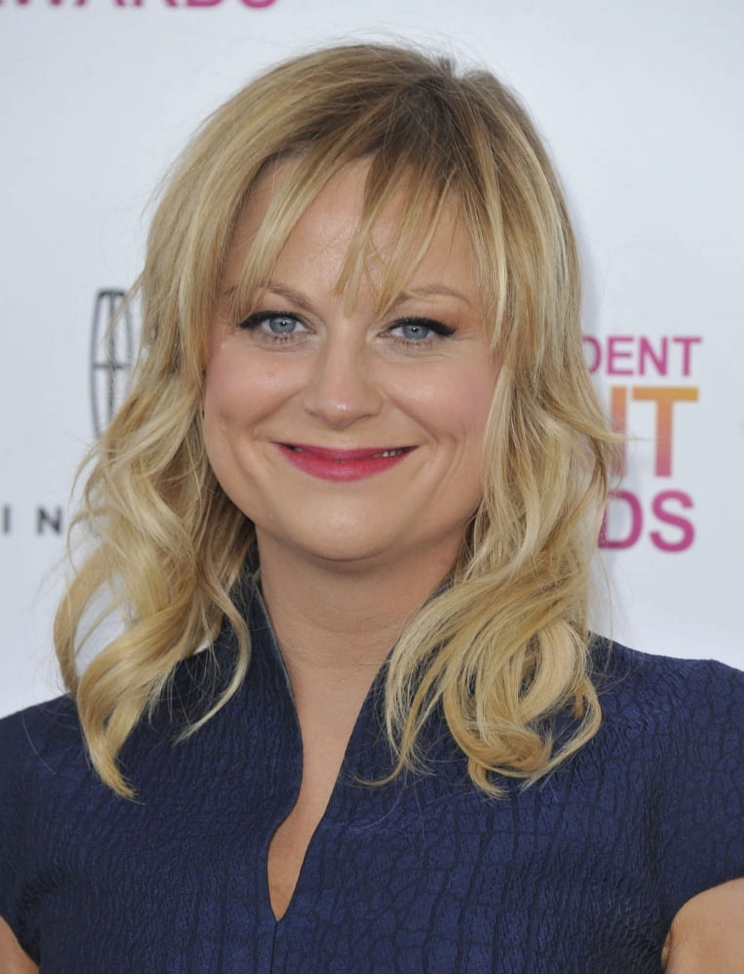 Amy Poehler At Arrivals For 2013 Film Independent Spirit Awards Canvas Art - (16 x 20)