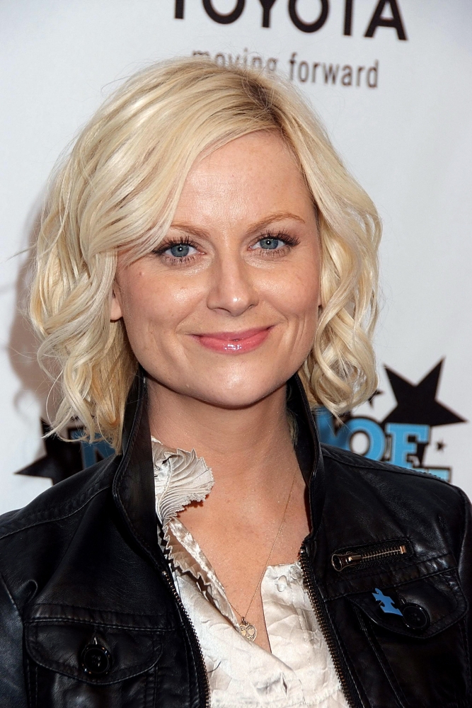 Amy Poehler At Arrivals For Night Of Too Many Stars - An Overbooked Benefit For Autism Education Canvas Art -  (16 x 20)