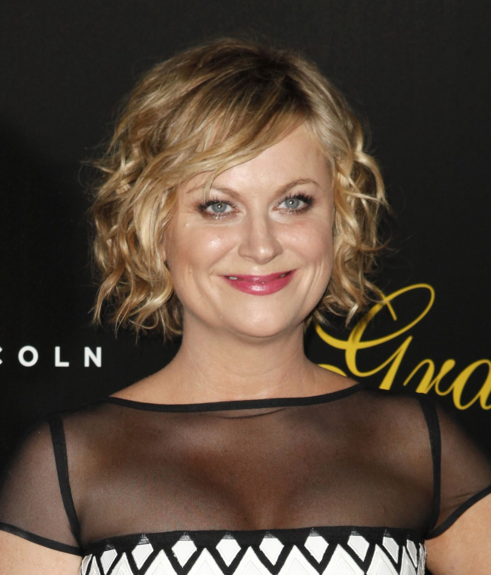 Amy Poehler At Arrivals For The 38Th Annual Gracie Awards Gala Canvas Art - (16 x 20)