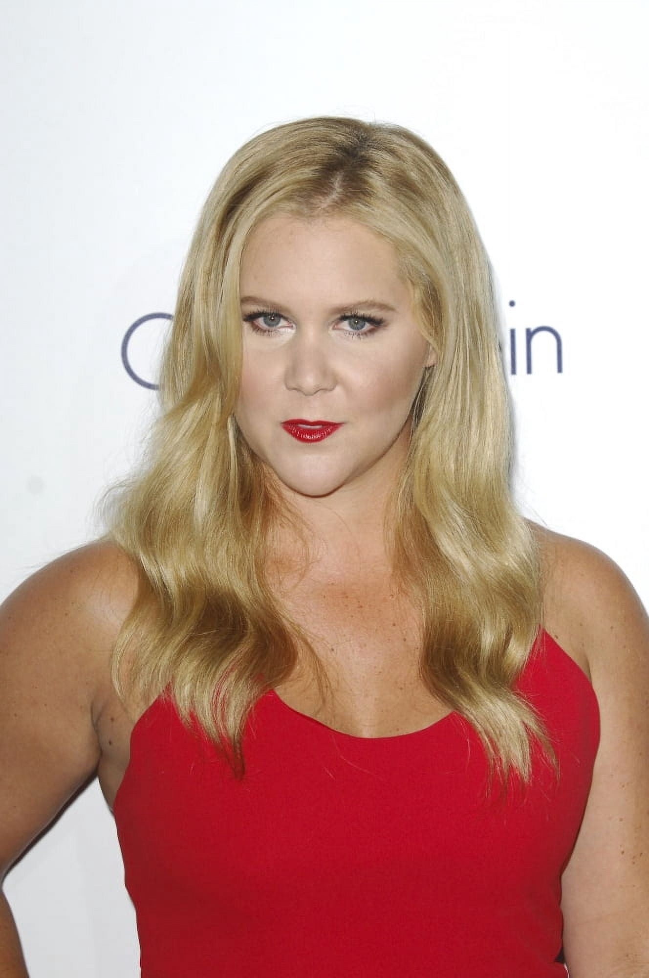 Amy Schumer At Arrivals For 2015 Elle Women In Hollywood Awards Canvas Art -  (16 x 20)