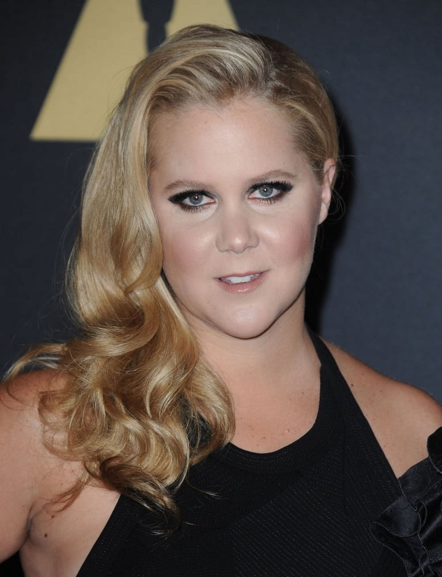 Amy Schumer At Arrivals For Academys 7Th Annual Governors Awards 2015 - Part 2 Canvas Art -  (16 x 20)