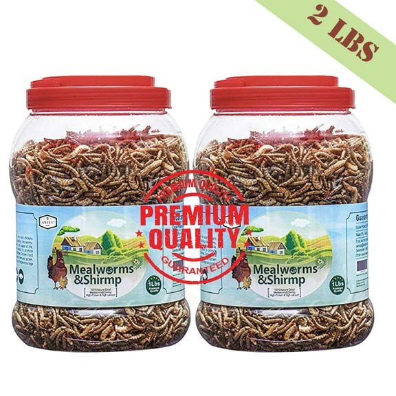 Amzey 2 Pack 1 LB Shrimp & Mealworms, 100% Non-GMO, Wild Bird Food, Chicken Feed, Fish Food, Reptiles Food, 2 lbs Total