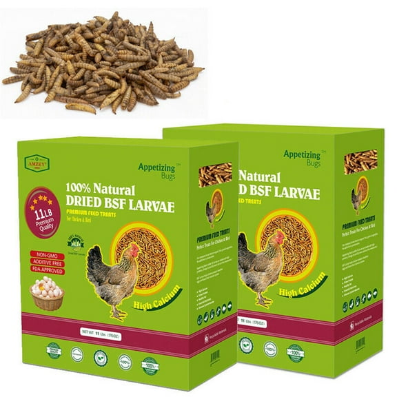 Amzey Dried Black Soldier Fly Larvae 22 lbs - Non-GMO Nutrient-Dense Natural Chicken Feed - Ideal for Backyard Chickens