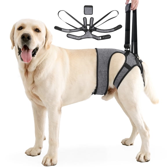 Amztom Dog Support Sling, Adjustable Lift Harness for Senior Dogs with Weak Hind Legs, Post-Surgery Recovery Aid for Climbing Stairs,Walking,Gray,S