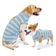 thumbnail image 1 of Amztom Female Dog Recovery Suit, Post-Surgery Spay Neuter Onesie with Urine Pad Pocket, Modal High-Stretch Elastic Fabric, Back Velcro Closure for Wound Healing, Weaning & Heat Cycles,Blue, 1 of 8