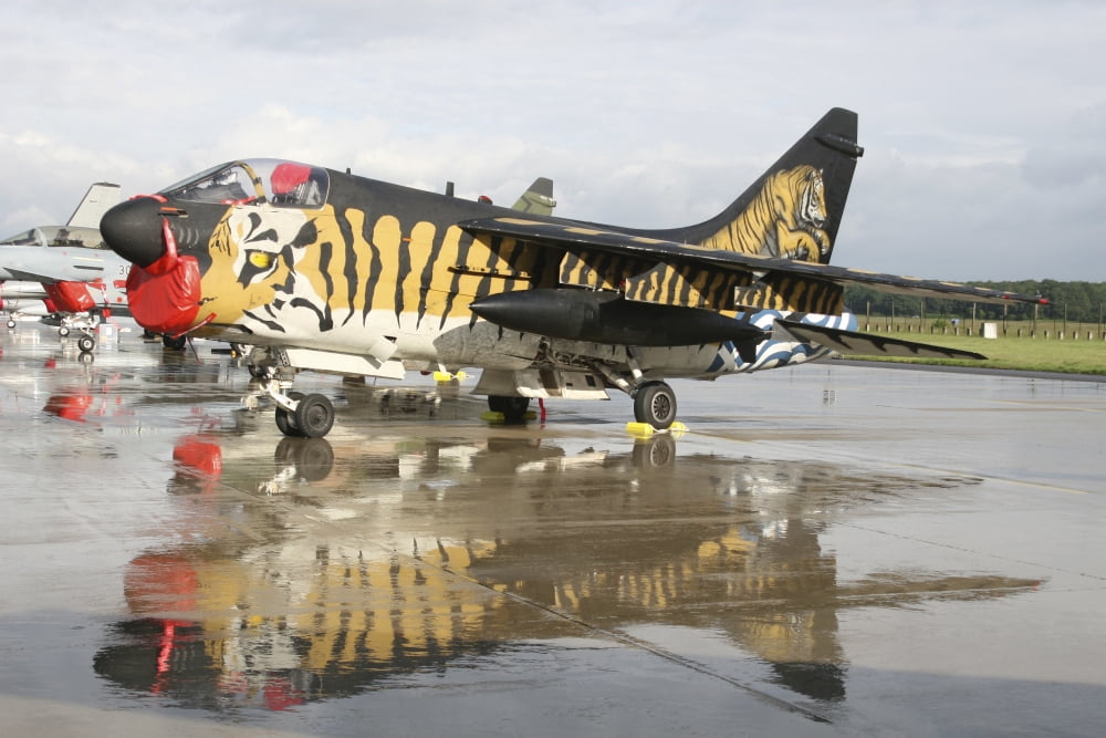 An A-7E Corsair of the Hellenic Air Force in special painting Canvas Art - Timm ZiegenthalerStocktrek Images (35 x 23)