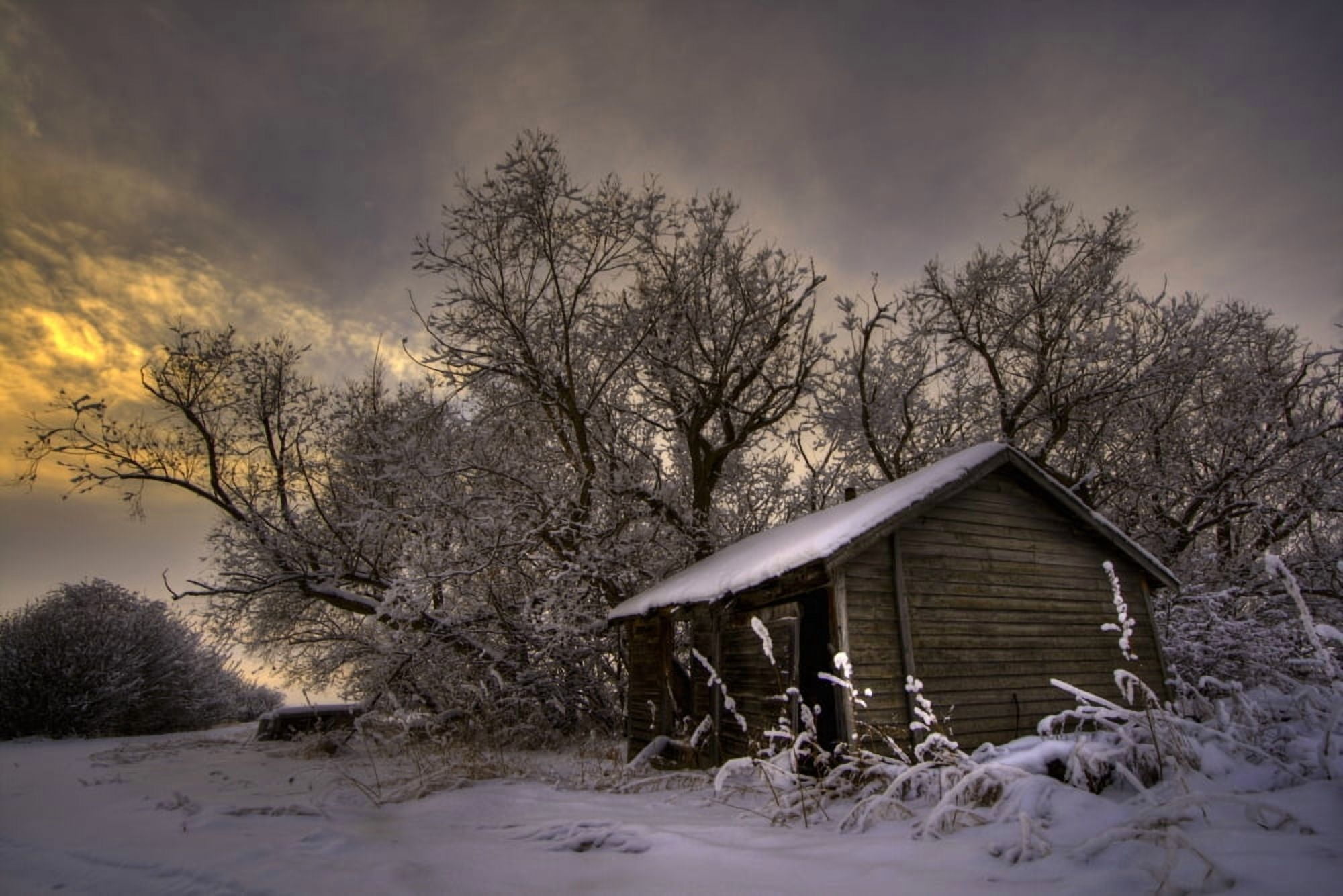 An Abandoned Prairie Homestead In Winter Rural Alberta Canvas Art - Dan Jurak Design Pics (17 x 11)