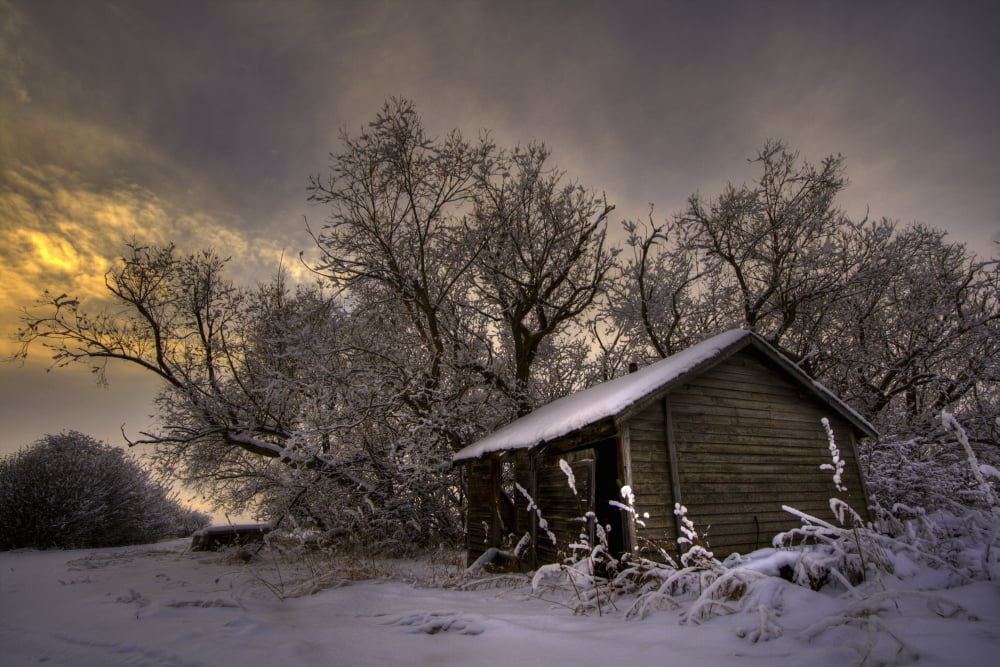 An Abandoned Prairie Homestead In Winter Rural Alberta Canvas Art - Dan Jurak Design Pics (34 x 22)