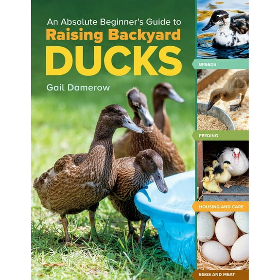An Absolute Beginner's Guide to Raising Backyard Ducks: Breeds, Feeding, Housing and Care, Eggs and Meat, (Paperback)