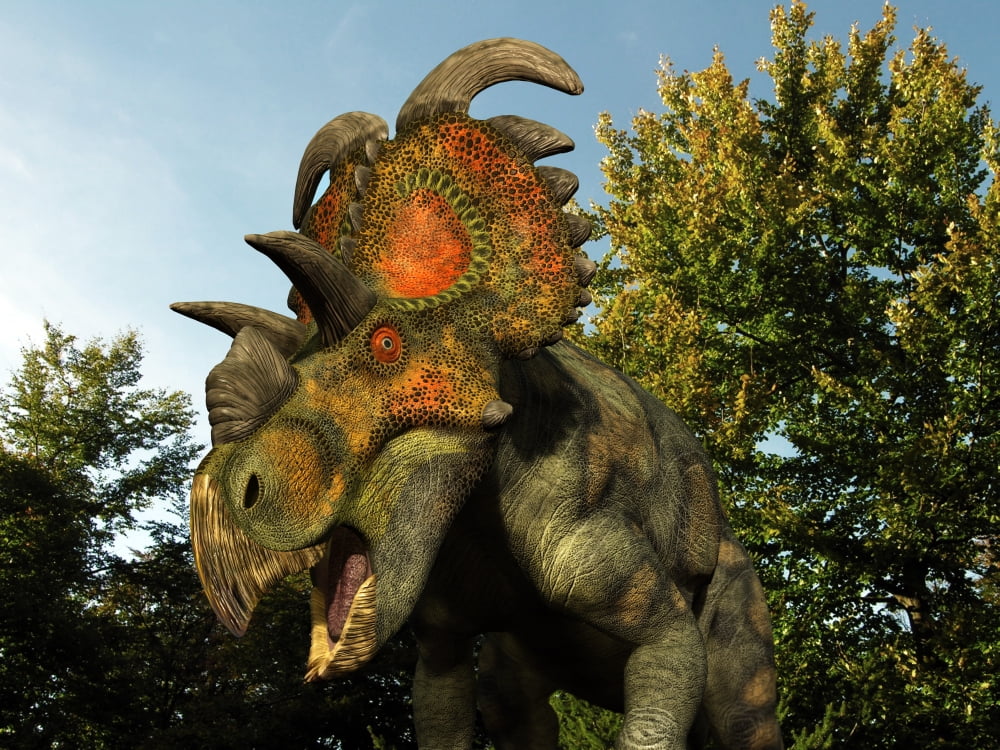 An Albertaceratops wanders a Cretaceous forest Canvas Art - Walter MyersStocktrek Images (33 x 25)