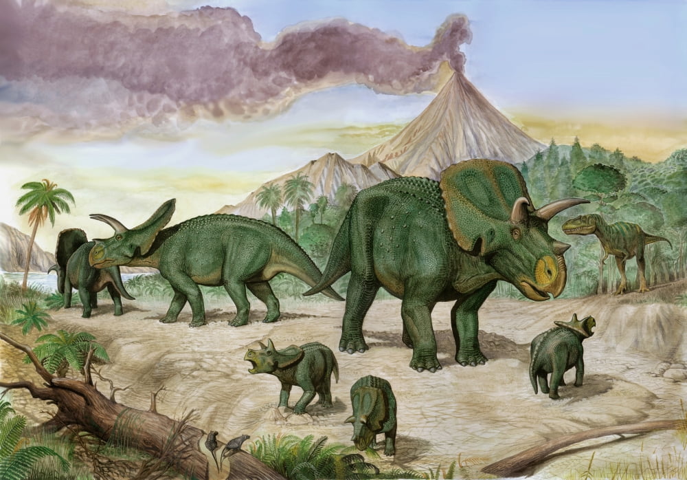 An Albertosaurus observes a family of Arrhinoceratops Canvas Art - Sergey KrasovskiyStocktrek Images (17 x 12)