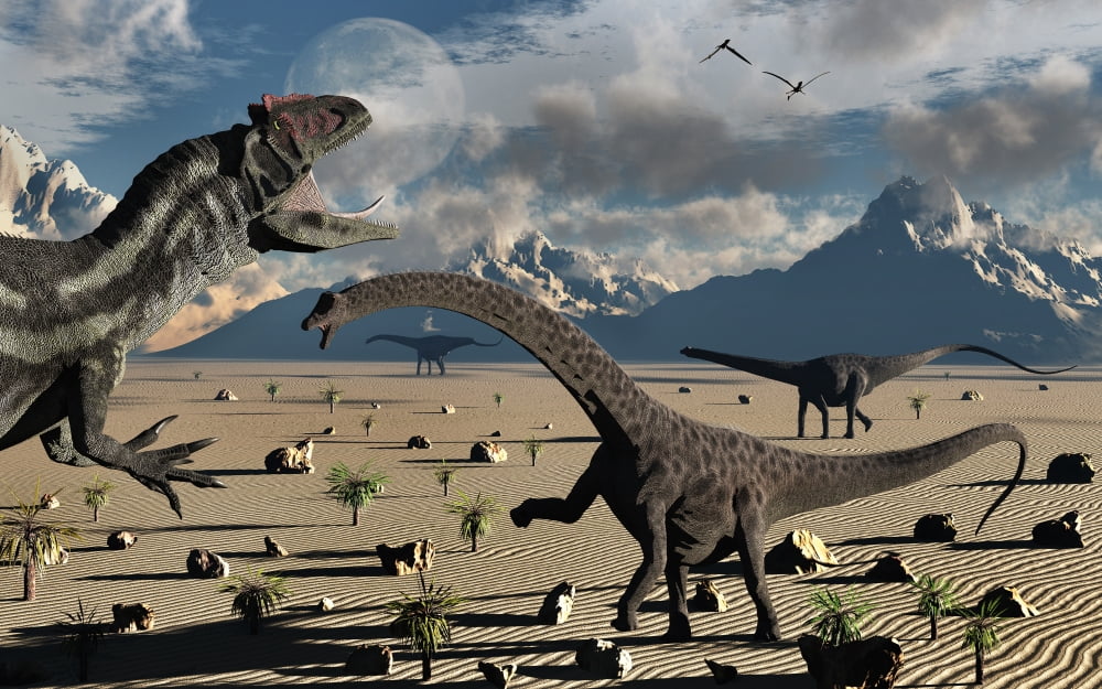 An Allosaurus confronts a small group of Diplodocus dinosaurs Canvas Art - Mark StevensonStocktrek Images (36 x 23)