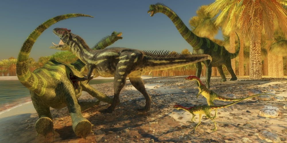 An Allosaurus dinosaur brings down a huge Brachiosaurus Canvas Art - Corey FordStocktrek Images (40 x 20)