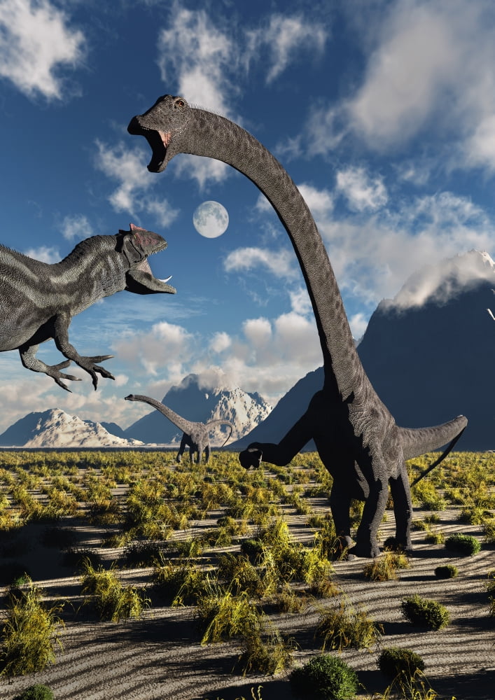 An Allosaurus dinosaur confronts a pair of diplodocus dinosaurs Canvas Art - Mark StevensonStocktrek Images (24 x 34)
