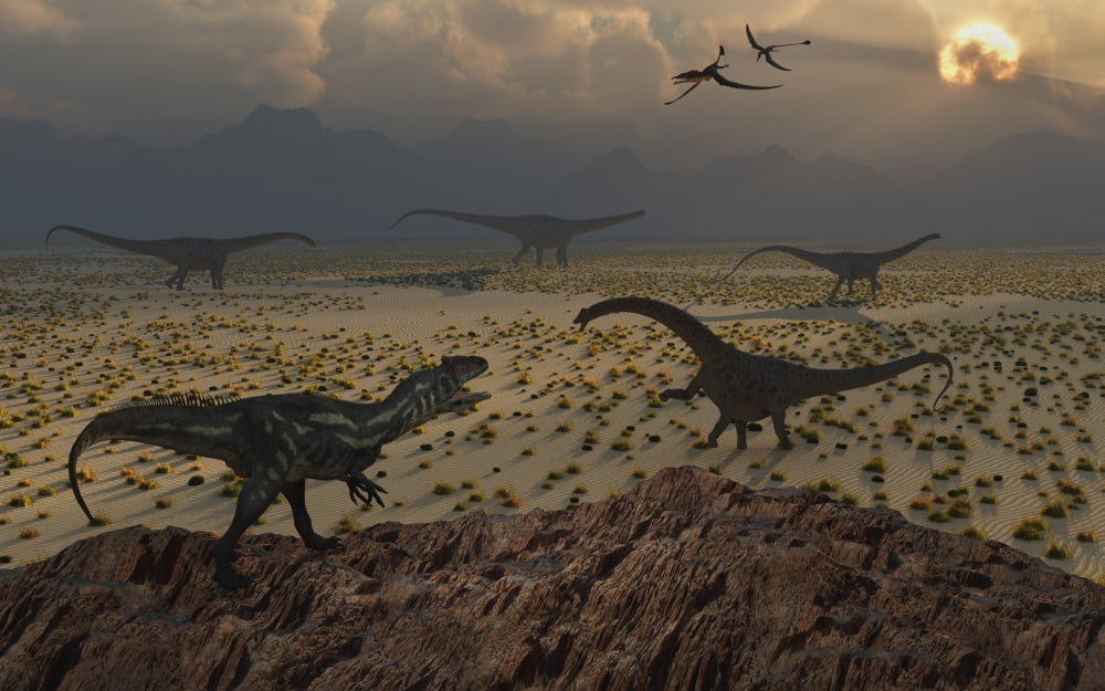 An Allosaurus dinosaur spies a group of young Diplodocus herbivores Canvas Art - Mark StevensonStocktrek Images (36 x 23)