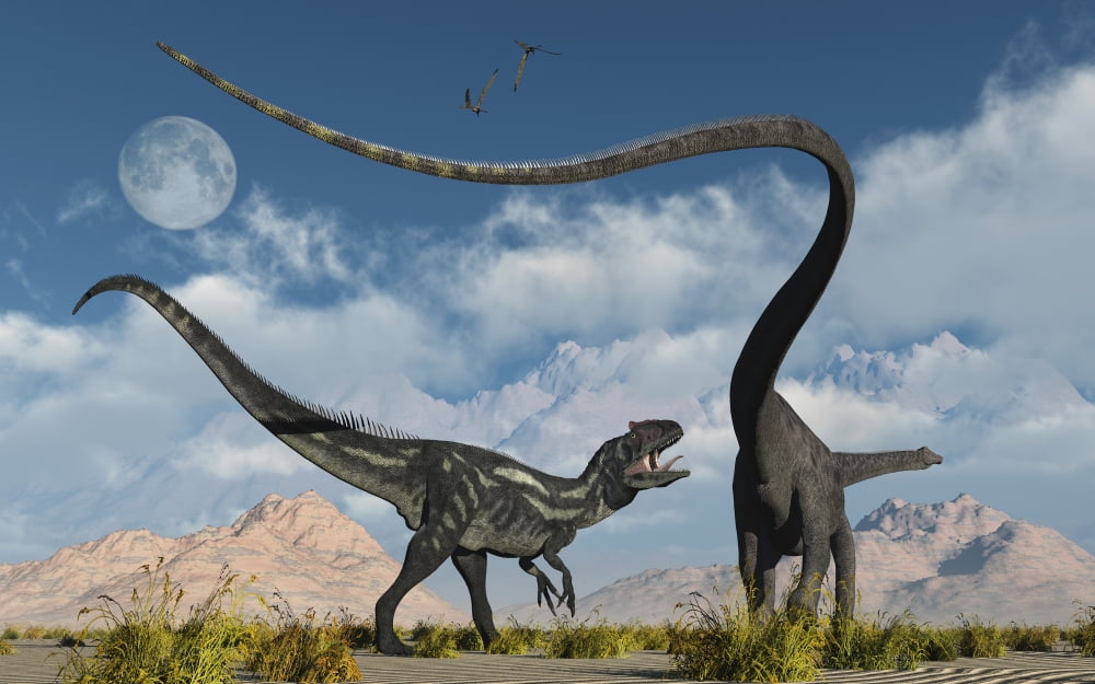 An Allosaurus in a deadly battle with a Diplodocus dinosaur Canvas Art - Mark StevensonStocktrek Images (18 x 12)