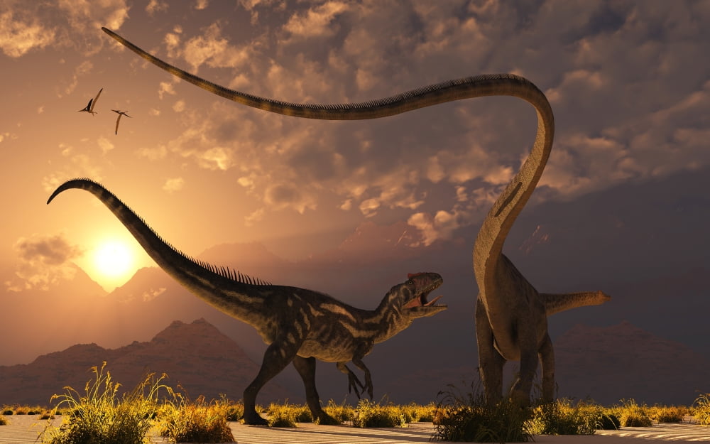 An Allosaurus in a deadly battle with a Diplodocus dinosaur at dawn Canvas Art - Mark StevensonStocktrek Images (36 x 23)