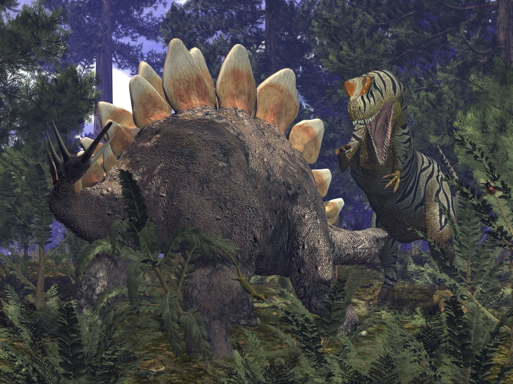 An Allosaurus stumbles upon a grazing Stegosaurus Canvas Art - Walter MyersStocktrek Images (33 x 25)