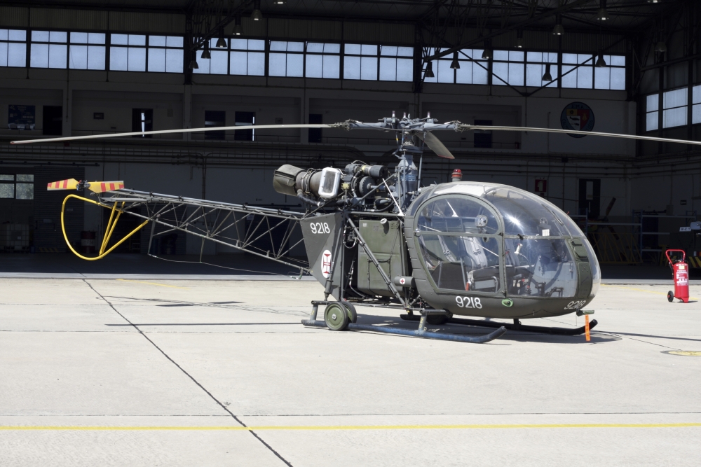An Alouette II helicopter of the Portuguese Air Force Canvas Art - Timm ZiegenthalerStocktrek Images (18 x 12)