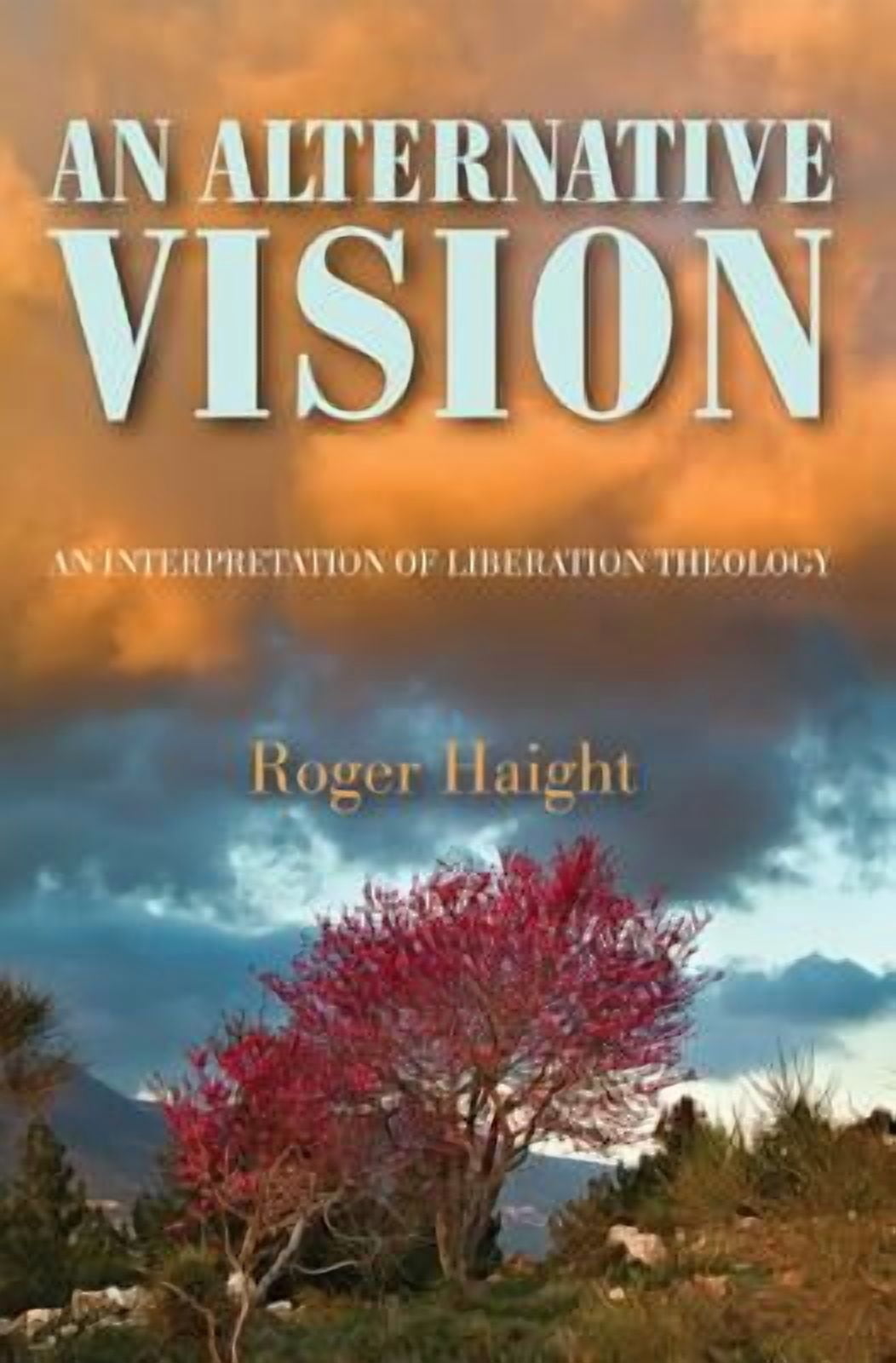 An Alternative Vision (Paperback) - Walmart.com