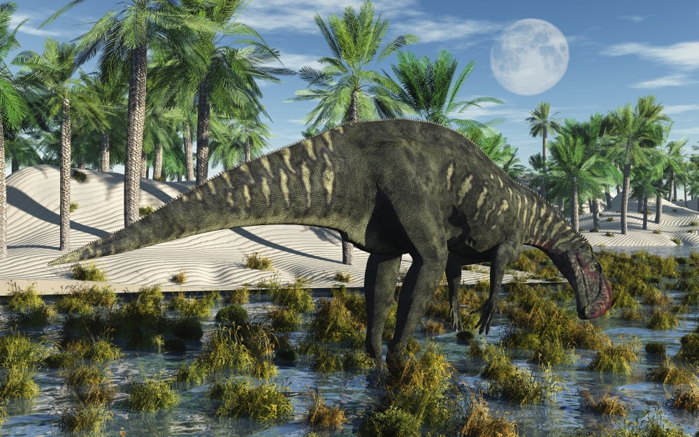 An Altirhinus dinosaur during the Cretaceous period Canvas Art - Mark StevensonStocktrek Images (18 x 12)