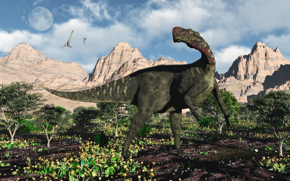 An Altirhinus dinosaur in a Cretaceous environment Canvas Art - Mark StevensonStocktrek Images (36 x 23)