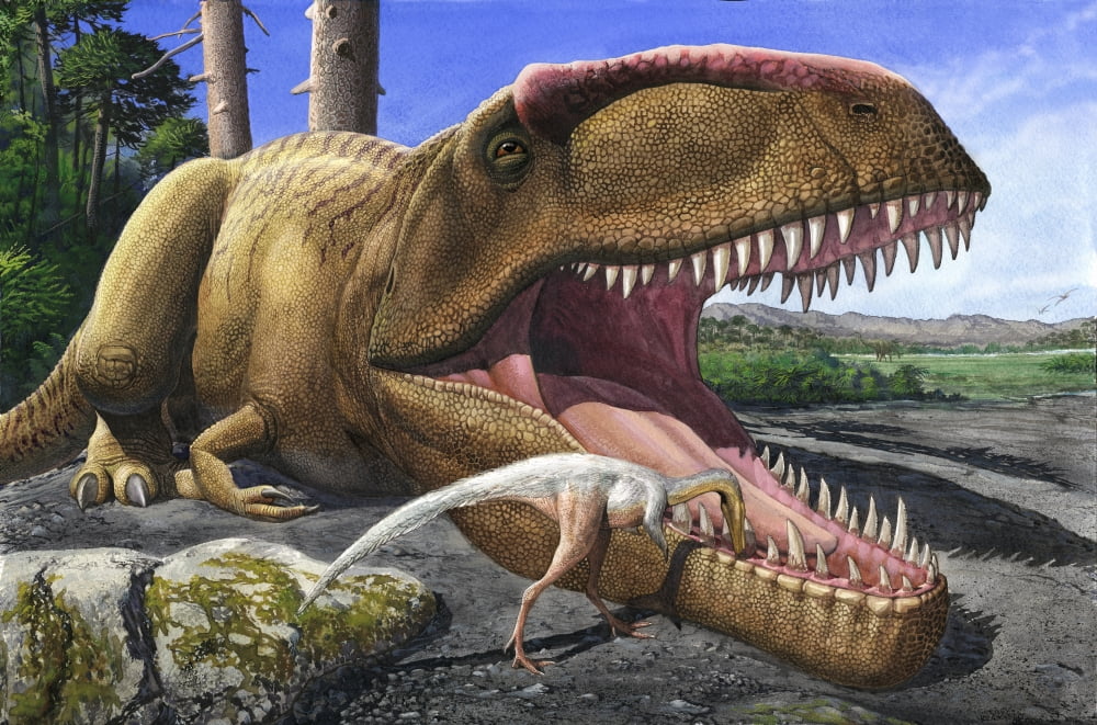 An Alvarezsaurid bird cleans the mouth of a Giganotosaurus carolinii dinosaur Canvas Art - Sergey KrasovskiyStocktrek Images (18 x 12)