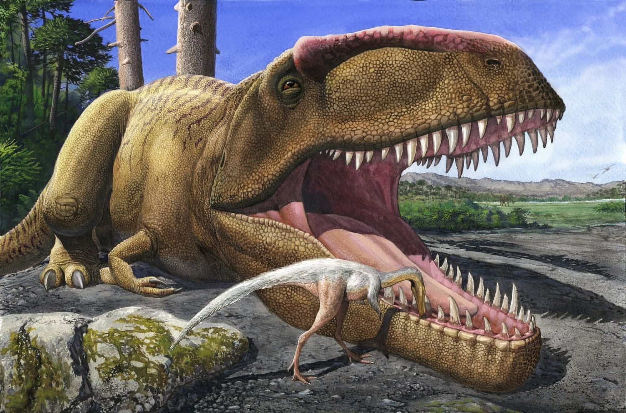 An Alvarezsaurid bird cleans the mouth of a Giganotosaurus carolinii dinosaur Canvas Art - Sergey KrasovskiyStocktrek Images (35 x 23)