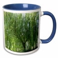 thumbnail image 1 of 3drose, an Amazing Weeping Willow Tree Shot Up Close in Green, 11oz Two-tone Blue Mug, 1 of 6
