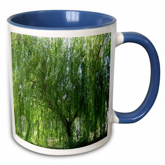3drose, an Amazing Weeping Willow Tree Shot Up Close in Green, 11oz Two-tone Blue Mug