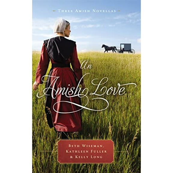 Pre-Owned An Amish Love (Paperback)