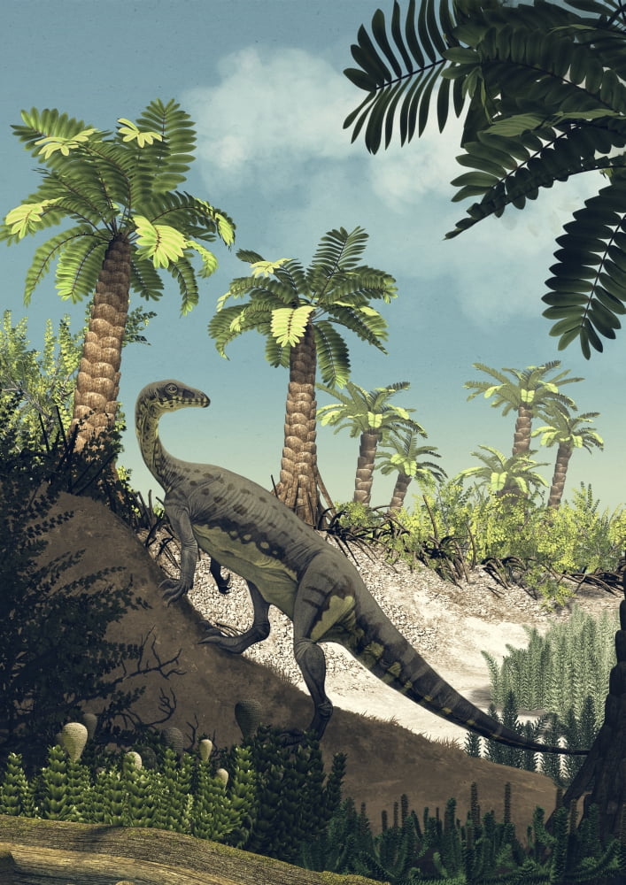 Sloper Drawing An Anchisaurus polyzelus climbs the slope of a dry riverbed Canvas Art ...