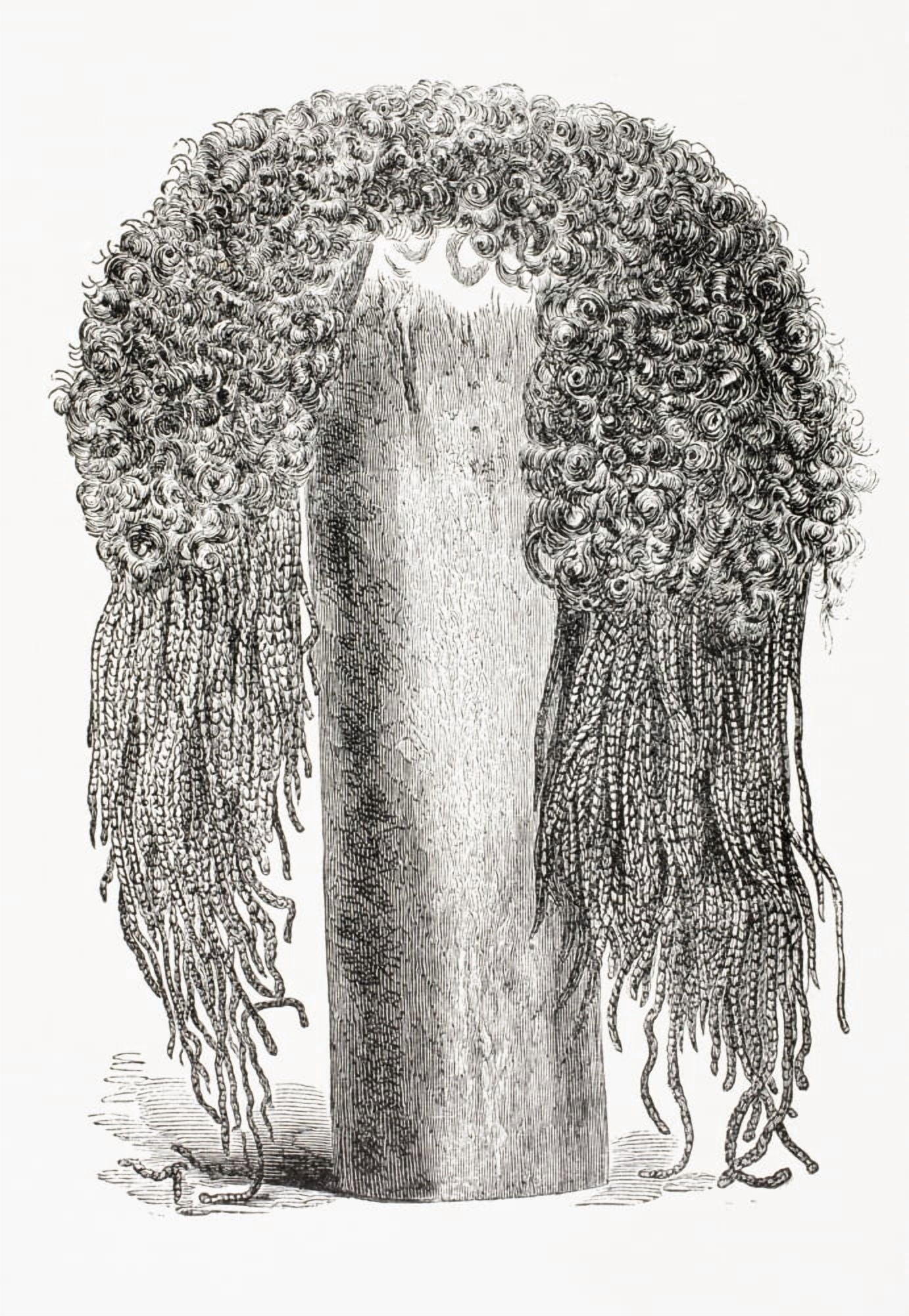 An Ancient Egyptian Wig From El Mundo Ilustrado Published Barcelona 1880 Canvas Art - Ken Welsh Design Pics (12 x 17)