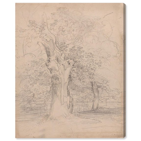 An Ancient Tree with Figures Canvas Classic Sketches by Art Remedy, Gallery Wrapped, 30" x 36"
