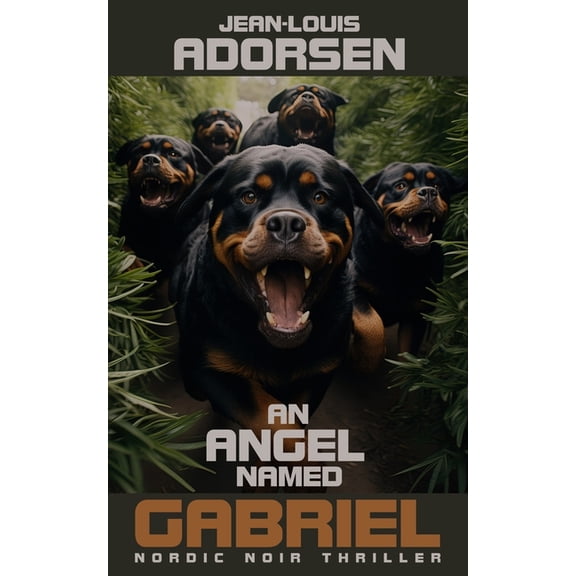An Angel Named Gabriel (Paperback)