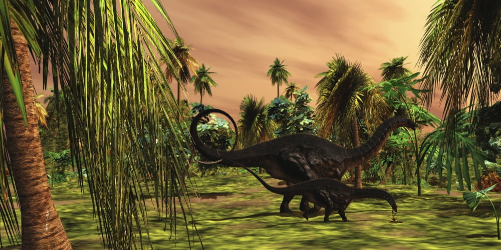 An Apatosaurus mother escorts her hatchling baby Canvas Art - Corey FordStocktrek Images (40 x 20)