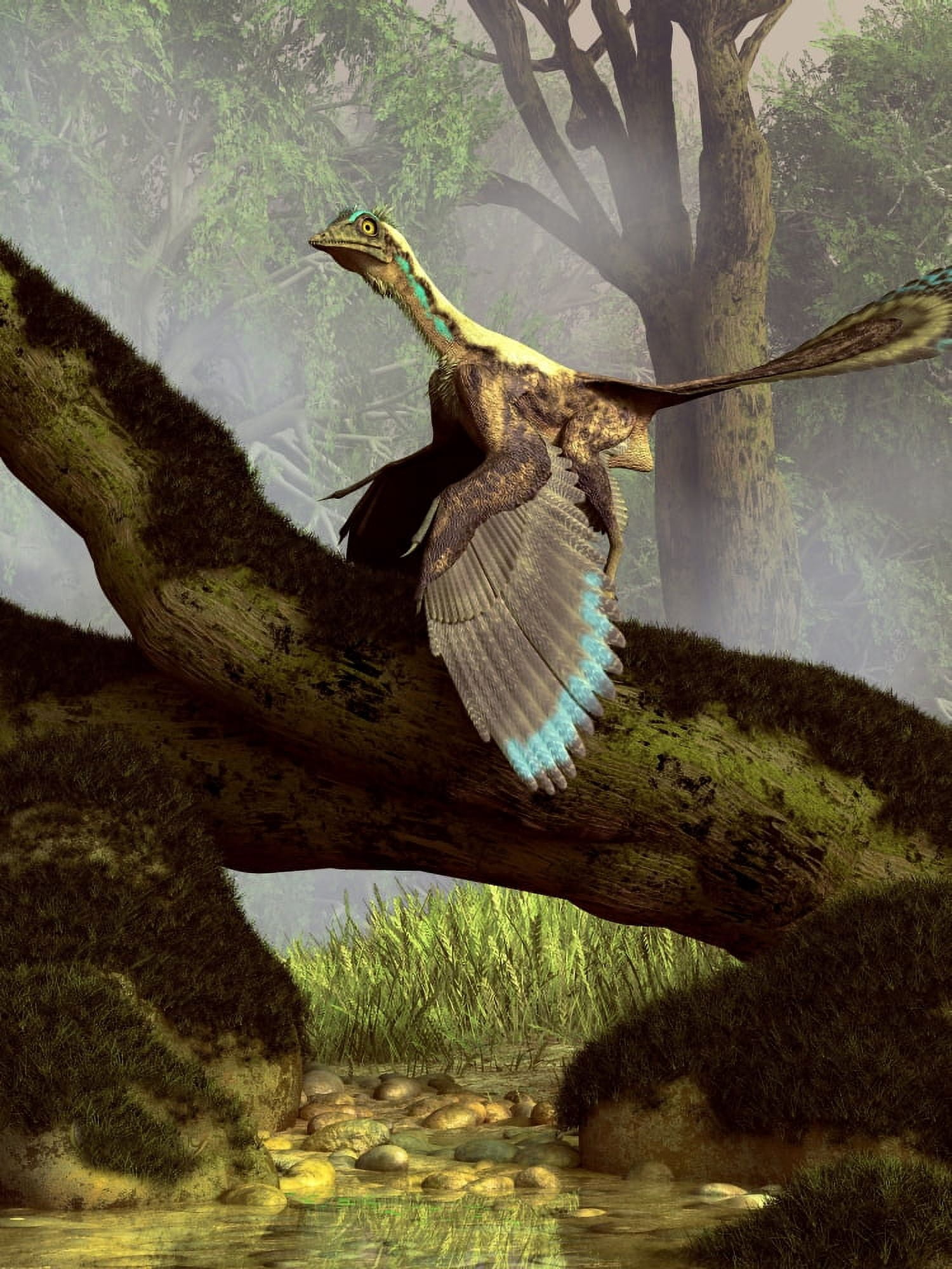 An Archaeopteryx on a log above a stream Canvas Art - Daniel EskridgeStocktrek Images (25 x 33)