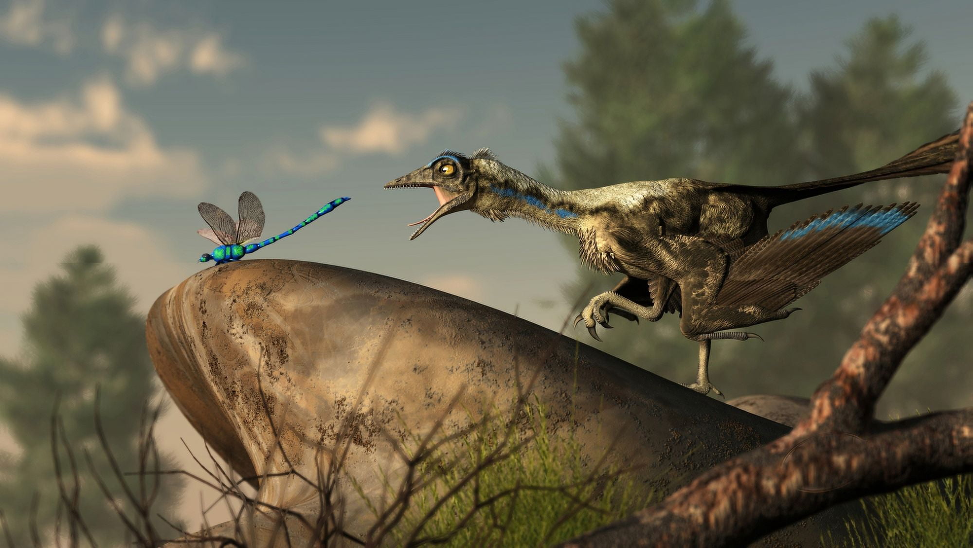 An Archaeopteryx stalks a dragonfly on a rock Canvas Art - Daniel EskridgeStocktrek Images (38 x 22)