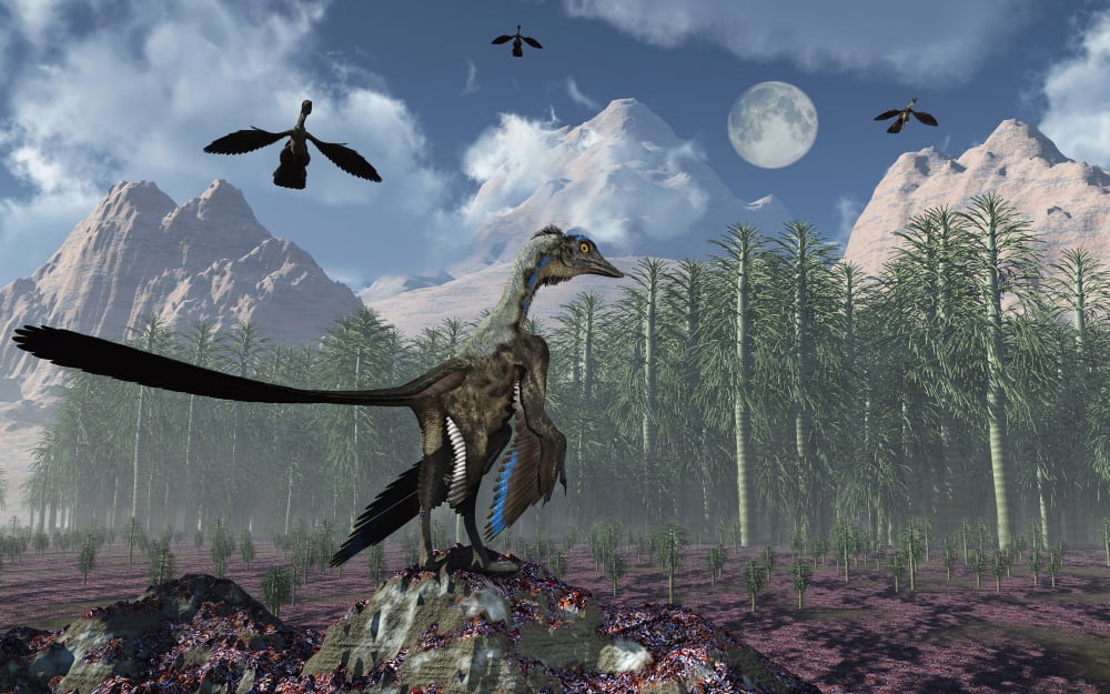 An Archaeopteryx standing at the edge of a forest Canvas Art - Mark StevensonStocktrek Images (36 x 23)