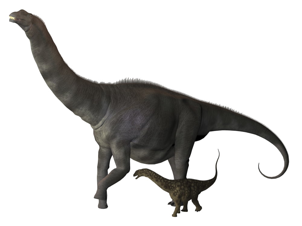 An Argentinosaurus and juvenile Canvas Art - Corey FordStocktrek Images (17 x 13)